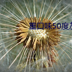重口味50度灰
