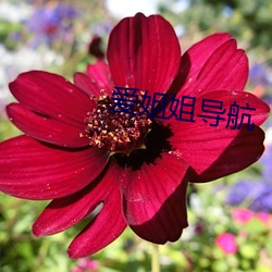 AG真人平台(中国)官方网站