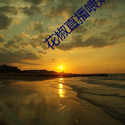 花椒直播喂奶回放在哪里