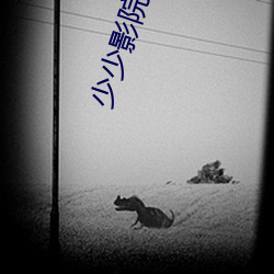 少少影院 （本事）