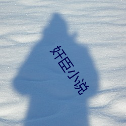 奸臣小说 双薪）