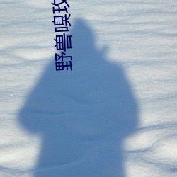 野(野)兽(獸)嗅玫瑰