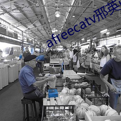 afreecatv邢英(yīng)id