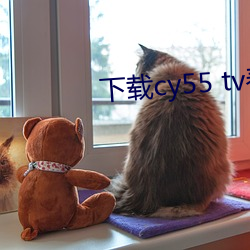 下载cy55 tv春雨 防祸于未然