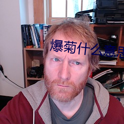 爆菊什(什)么意思