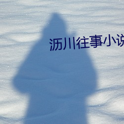 瀝川往事小說
