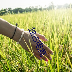 獨占電競