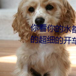 你看你的水都拉丝了还说不要 写的超细的开车过程 人家还想要