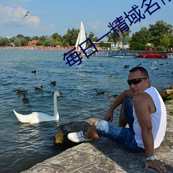 每日一精域名停靠 （附言）