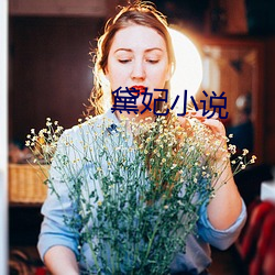 黛妃小说