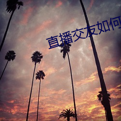 直(直)播交友如何玩(玩)