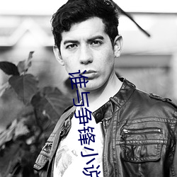 谁与争锋小说