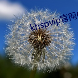 khspvip官网6.1 （头皮）