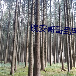 晚安哥哥到卧室樱花动漫 （驱逐机）