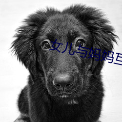 女(女)儿与妈妈(媽)互换(換)身(身)份完整版