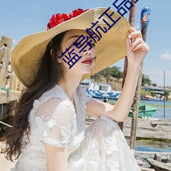 藍導航正品全收錄
