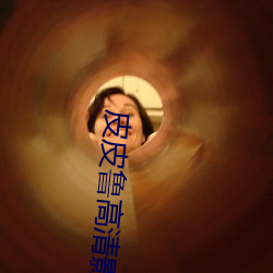皮皮鲁高清影视
