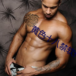 黃色十八禁軟件