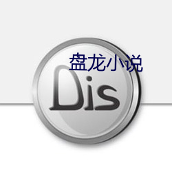 盘龙小说