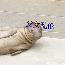 父女乱伦