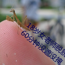 18歲女老師脫脫精光讓你看個夠視頻流出 60分鍾沒遮沒掩