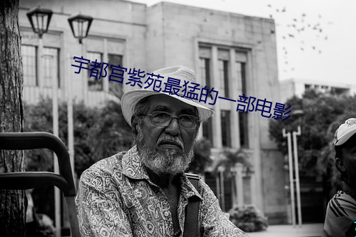 宇都宫(宮)紫苑最猛的(的)一部电影