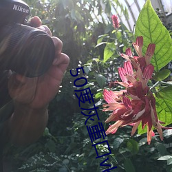 50度灰重口vk
