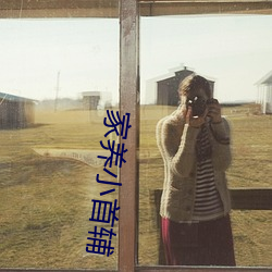 家(家)养小首辅