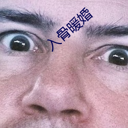 入骨暖婚