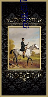 央視點評挽起裙子跨開雙腿坐下去動圖