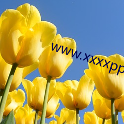 www.xxxxpppp.com 鸥水相依）
