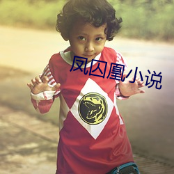 凤囚凰小说