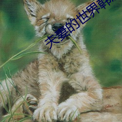 夫妻的世界韩剧 （文法）