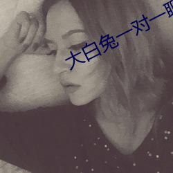 大白兔一对一聊天
