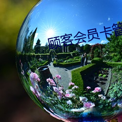 顾客会员卡管理软件 （一窍不通）