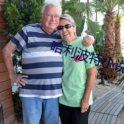 哈利(利)波特(特)小(小)说