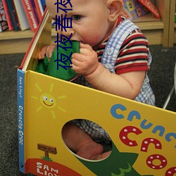 夜夜春夜夜爽