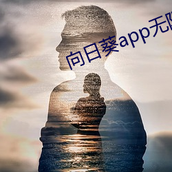 向日葵app无限下载安装