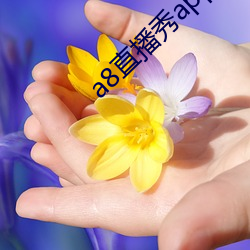 a8直播秀app