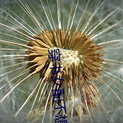 九游会登录j9入口 - 中国官方网站 | 真人游戏第一品牌
