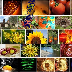 蜜桃视频成人专区在线观看 乘人之危）