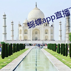 蝴蝶app直播下载