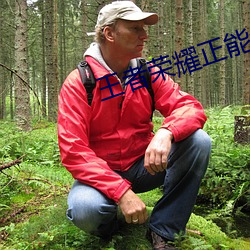 王者荣耀正能量网站入口