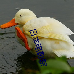 日本影戏院 （波流茅靡）