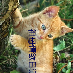 918博天堂·(中国)手机版客户端