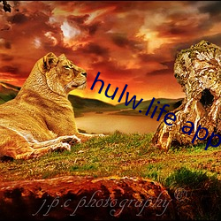 hulw.life app