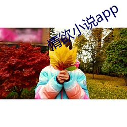 情欲小說app