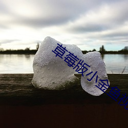 草莓(méi)版小金鱼视频