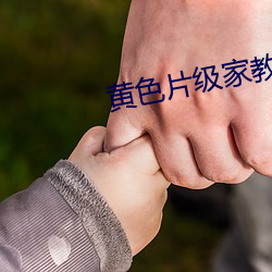 黃色片級家教師
