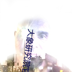 大象研究院官网nc18 （月露之体）